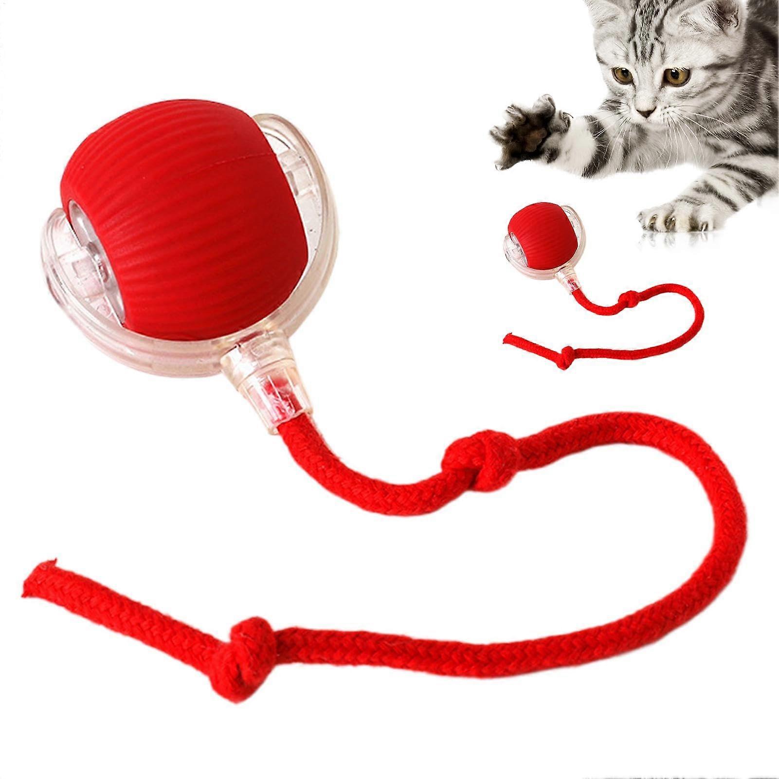 Interactive Cat Toy Ball  Motion Activated Rolling with Lights, Rechargeable Indoor Kitten Exercise