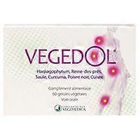 Vegedol 60 vegetable capsules