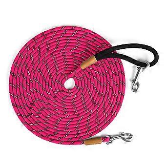 Reflective Nylon Dog Leash with Leather Handle, Multi-Purpose Walking and Training Leash for Outdoor Activities, 5 Colors Available