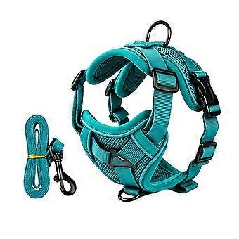 Harnais de poitrine pour animaux de compagnie avec laisse de traction rétractable pour chats et chiens en promenade extérieure