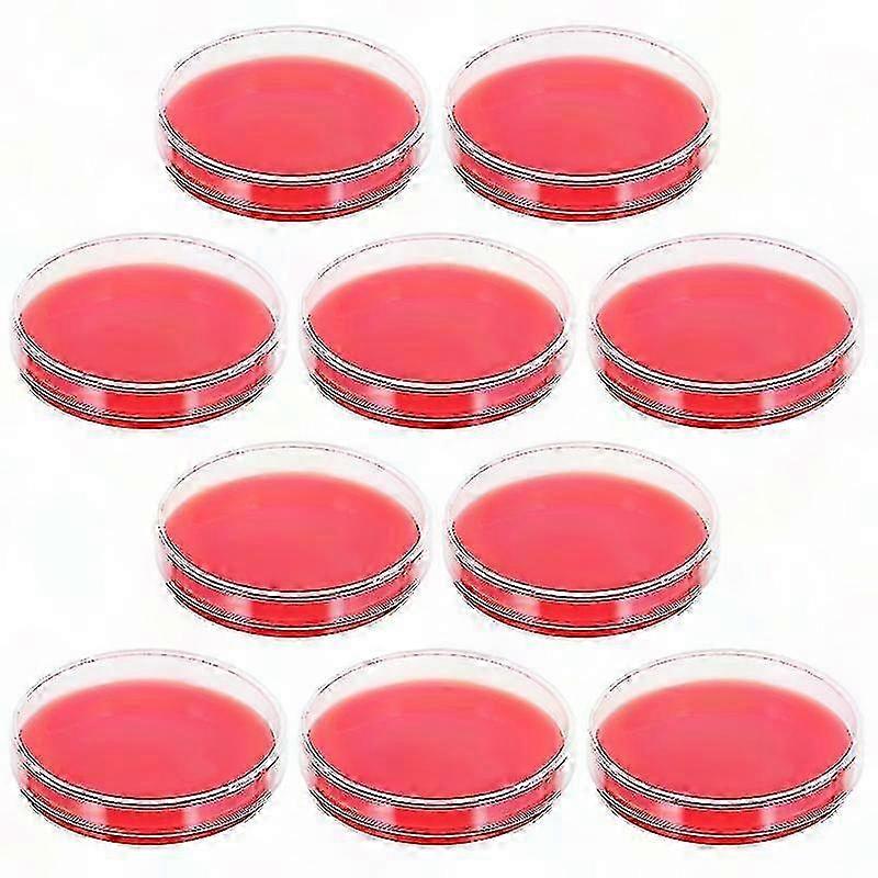 10pcs Agar Plate for Microbiology Lab Use