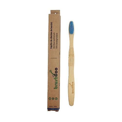 Individual brush kraft box - Medium Adult Blue 1 unit