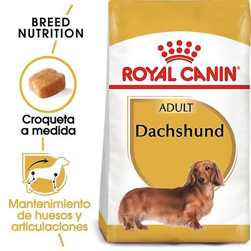 Royal Canin Teckel (Dachshund) (Hunde , Hundefutter , Trockenfutter)