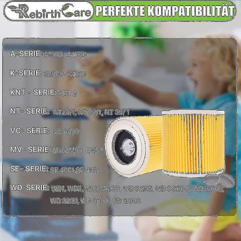 Filtro Hepa Karcher Original Wd 1/wd 2/wd 3 / 6.414-552.0 | Cuotas Sin