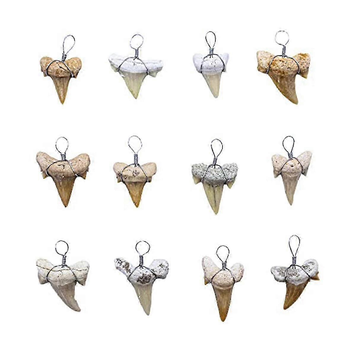 Real Fossil Sharks Teeth suitable for Jewelry Making, 12 Assorted Size 12 Sharks Tooth Pendant Charms Jewelr