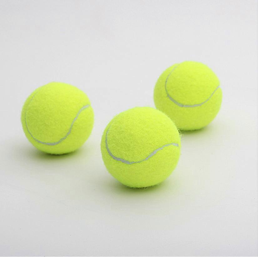Τένις, 18 Stck Langlebige Τένις bungsblle Hundespielzeugblle mit Mesh Tragetasche fr Kinder Erwachsene bungs Haustiere Εκπαίδευση