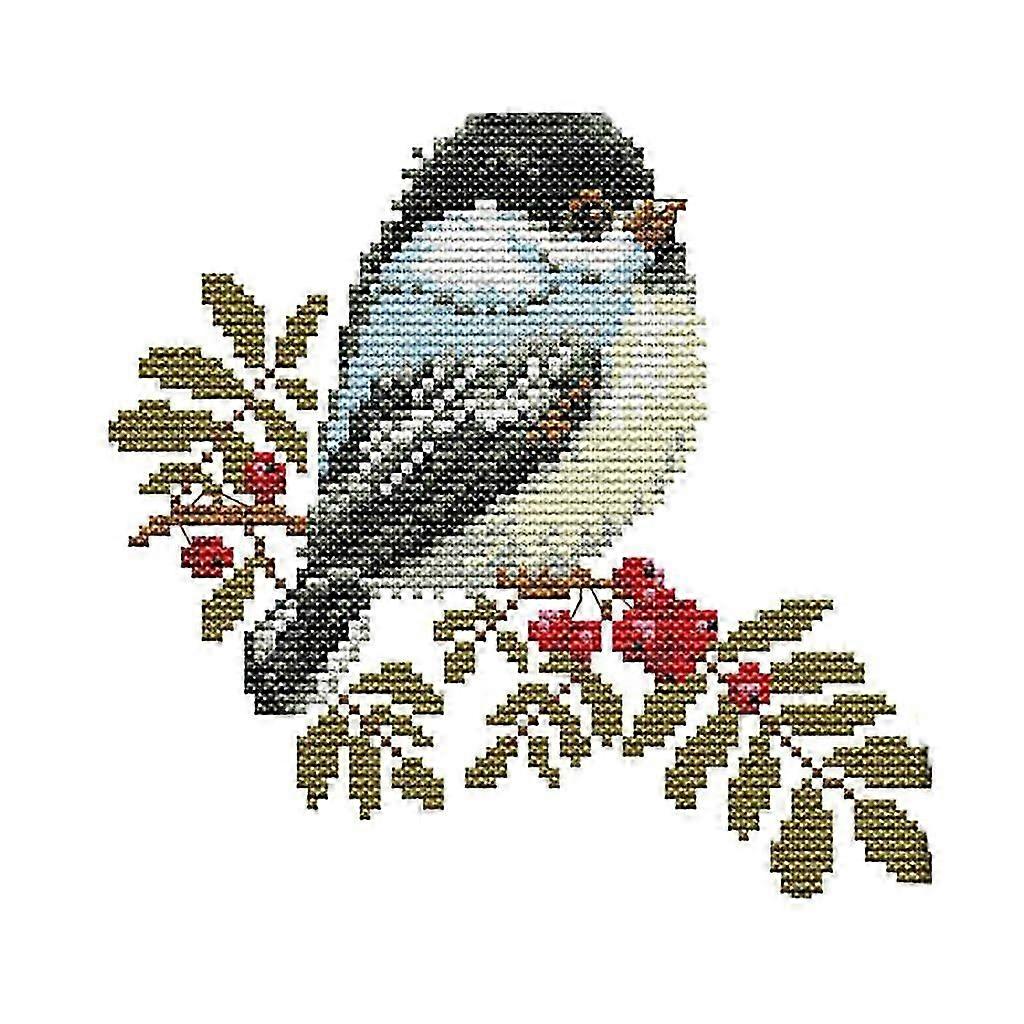 Stamped Embroidery Cross Stitch Kits Beginner Needlecrafts-Little Birds 11CT