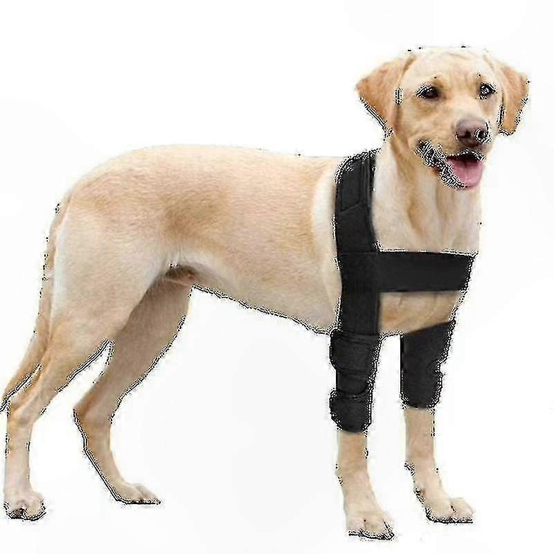 Canine Elbow Support Pads for Joint Comfort and Skin Protection Soft Dog Protective Cushions for Everyday Use