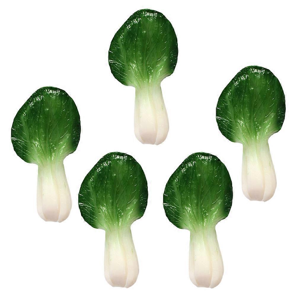 Green PVC Artificial Vegetable Model for Teaching 5Pcs Simulation Set