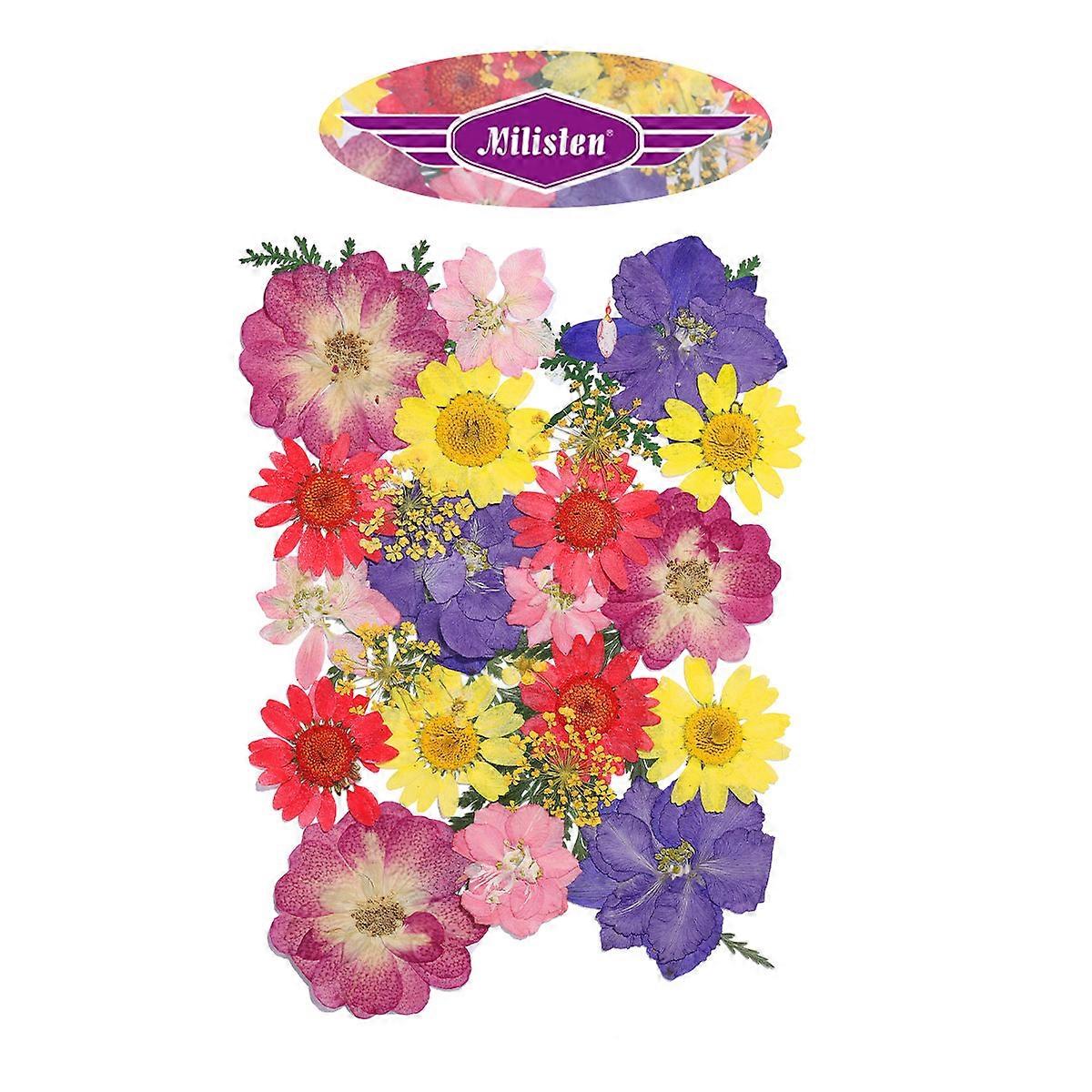 Flower Specimen Milisten 1 Pack Embossing Dried Flower Craft Material For Craft Enthusiasts Realistic 15 X 10 X 0.3 Cm