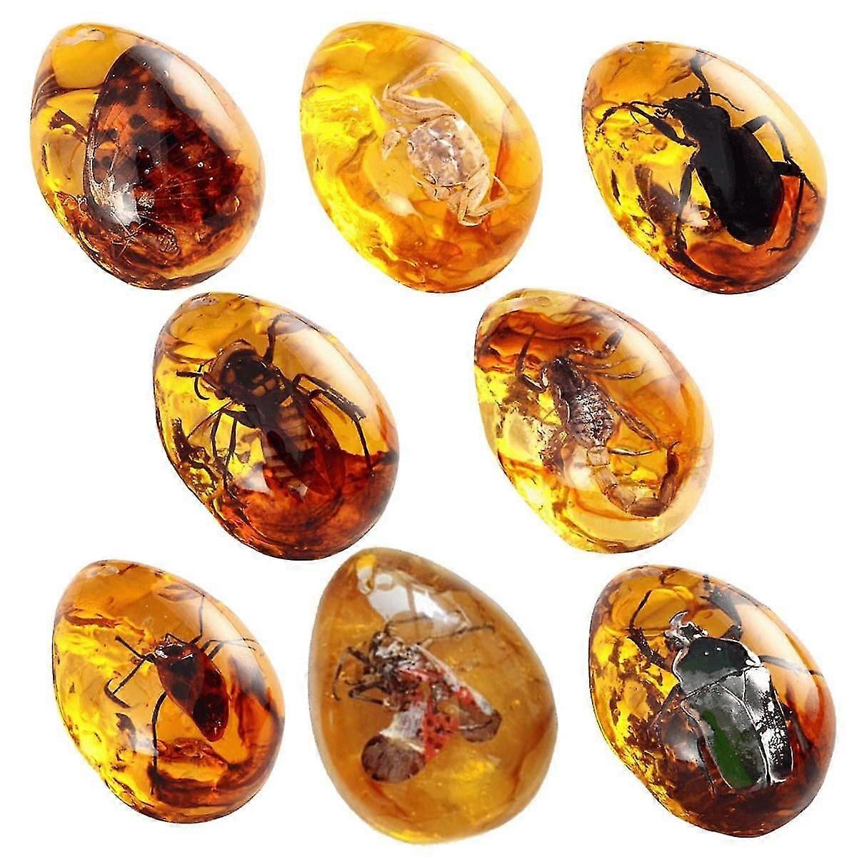 8pcs Fossils With Insects Samples Crystal Samples Decorations Collections Oval Pendants Pendant