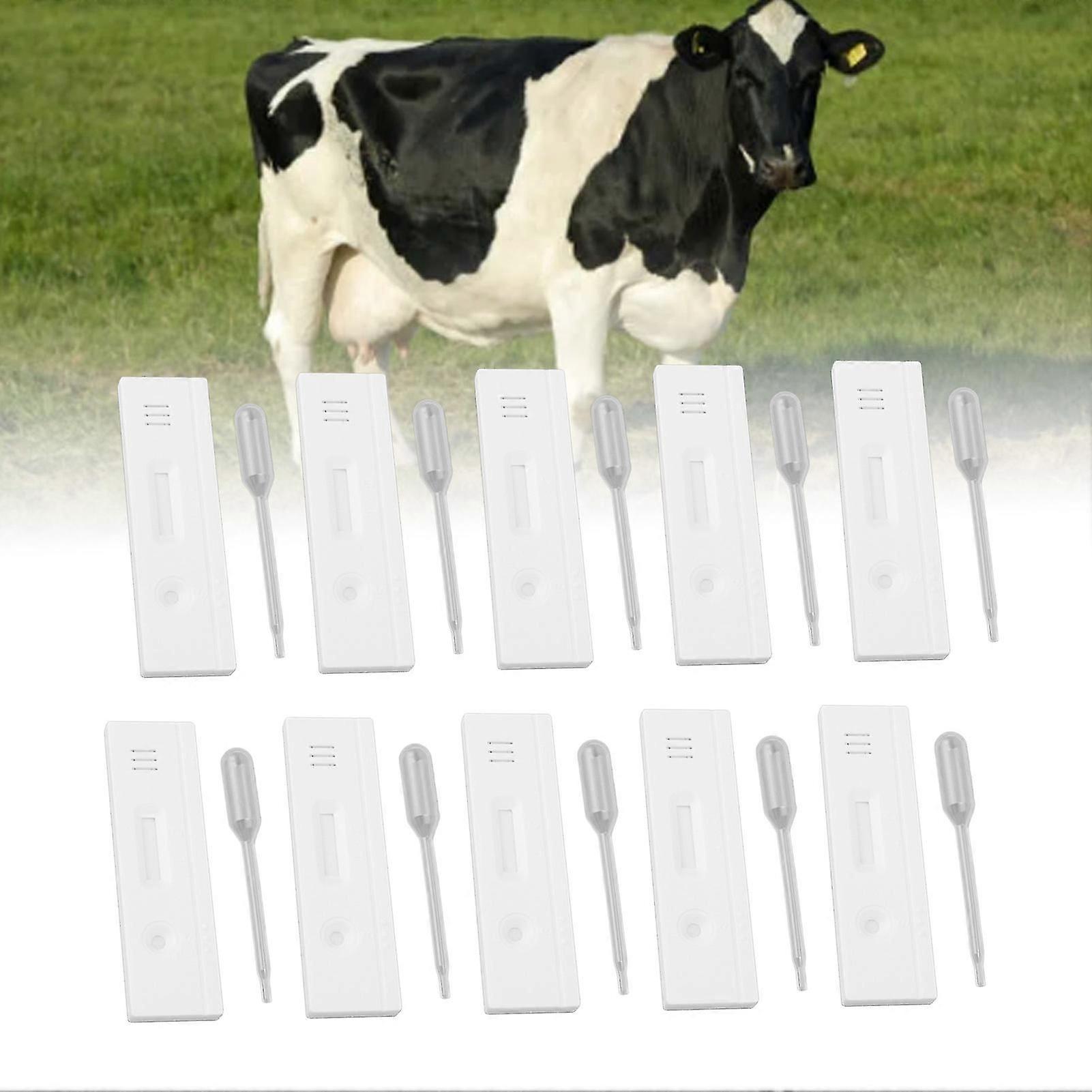10 Set Cow Pregnancy Test Strips Early Detection High Accuracy 88g