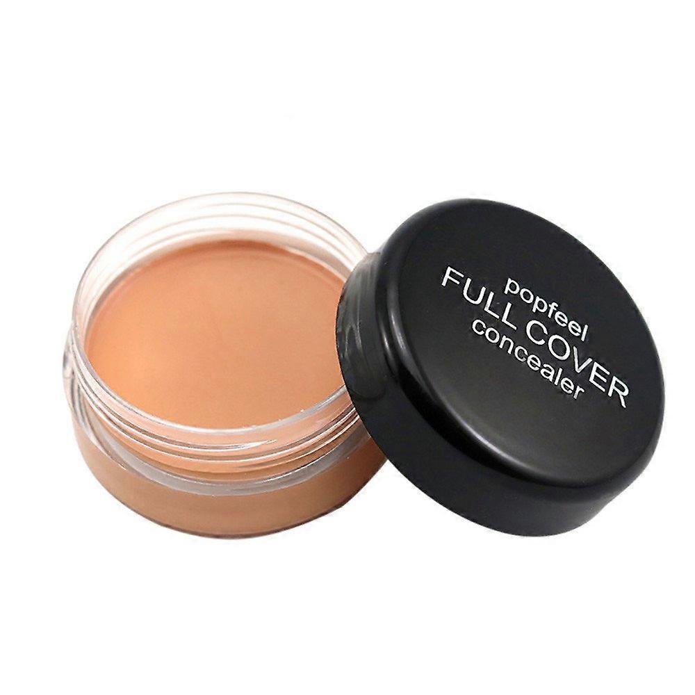 Concealer and Foundation Makeup Creamy Moisturizing Natural Longlasting Smooth Blendable Coverage