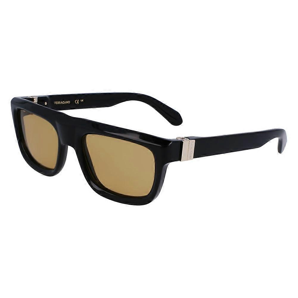 Glasses Ferragamo sf2009s011