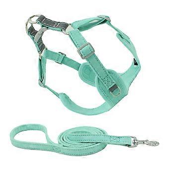Grünes Hundegeschirr mit Leine für den Haushalt, strapazierfähig und zur besseren Hundekontrolle (1 Set)