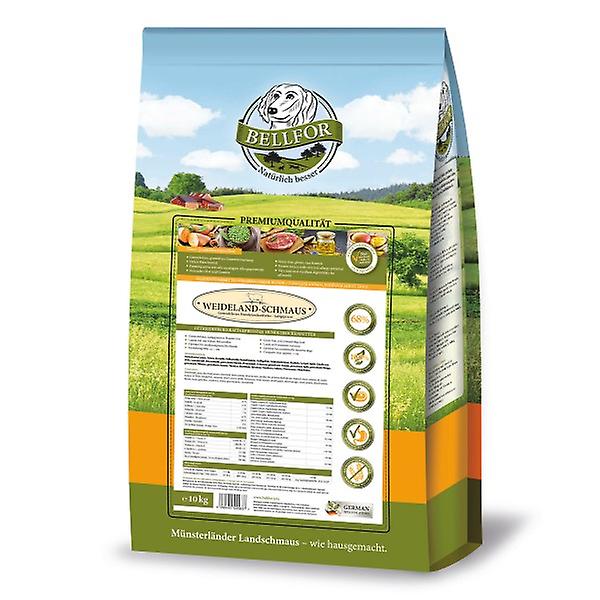 large pasture feast with lamb