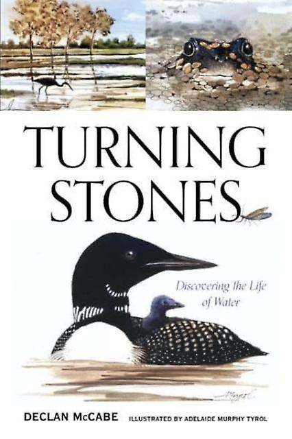 Turning Stones by Declan McCabe Paperback Book