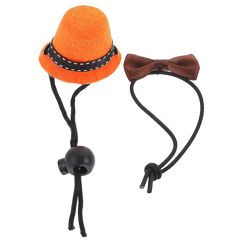 1set Bearded-dragon Costume