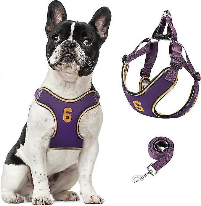 Conjunto de Arnês e Guia para Cães, Colete de Estimação Ajustável com Degrau Fácil de Andar, Sem Calço para Cães Pequenos e Médios