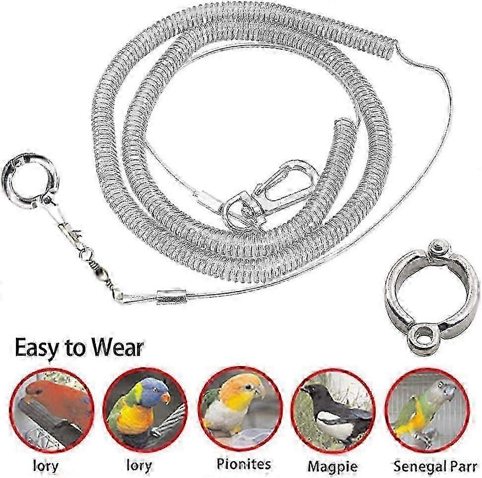 خلخال الطيور الأليفة ، سلسلة قدم الببغاء 3M خفيفة جدا ببغاء الطيور تسخير المقود المضادة للعض في الهواء الطلق الطيران التدريب حبل لوازم الأليفة ل