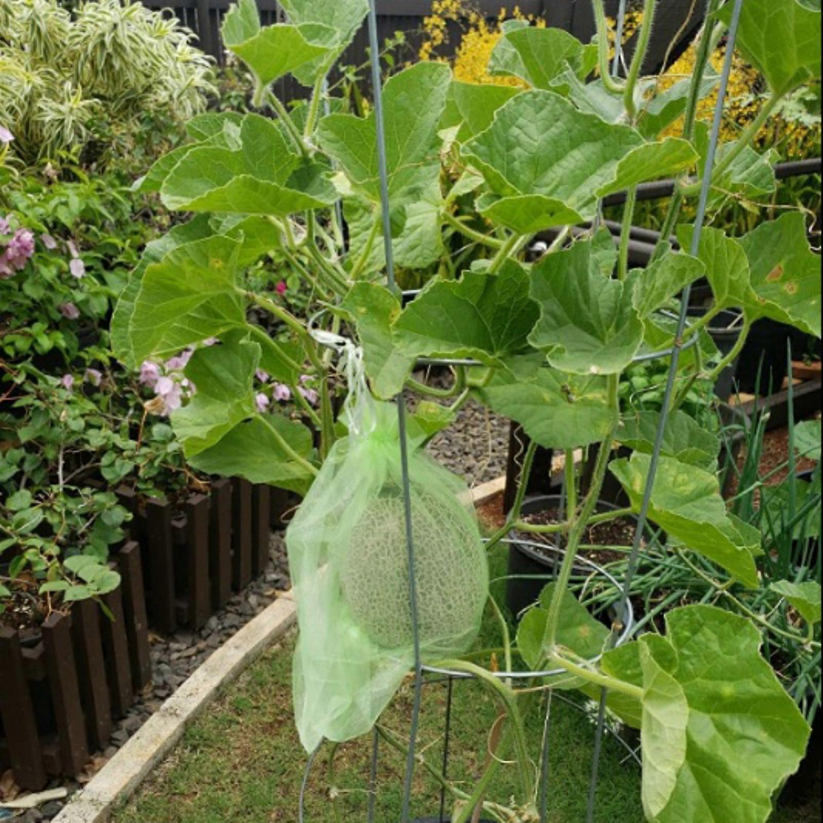 100PCS Fruktskyddspåsar - 6 "x8" Fruktskydd för fruktträd Nät Fruktnät för att skydda fruktnät Fruktpåsar Organzapåsar Gröna nätpåsar