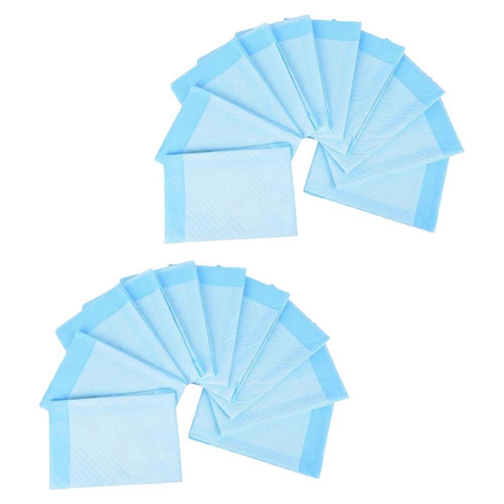 Skyblue Disposable Diaper for Adult Use with Non Woven Fabric Strong Absorbing and Waterproof 60x90cm