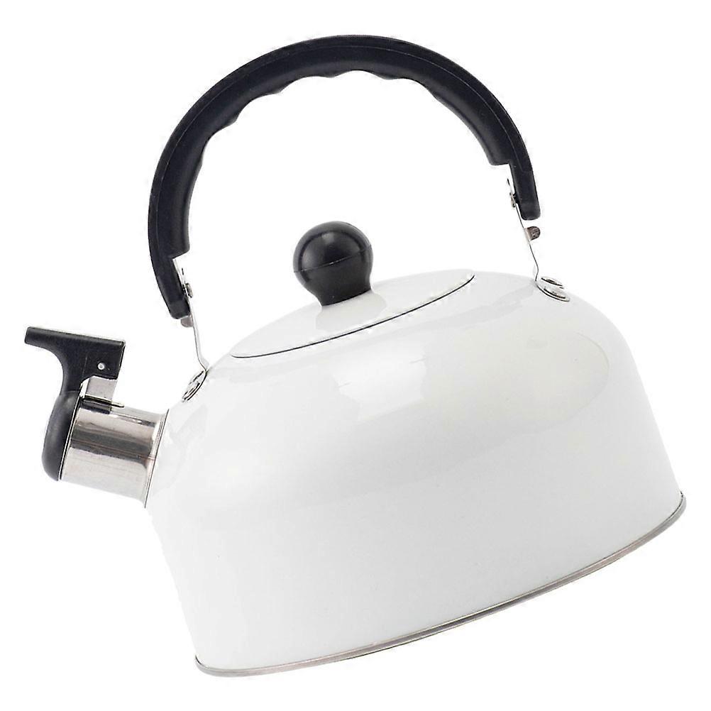 Stainless Steel Kettle with Handle for Boiling Water 3L