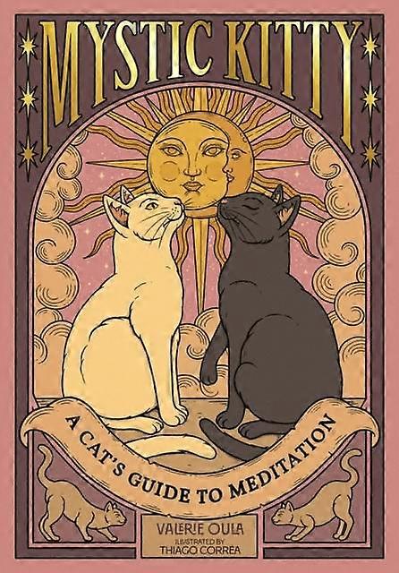 חתלתול מיסטי מאת ולרי אולה ספר בכריכה קשה