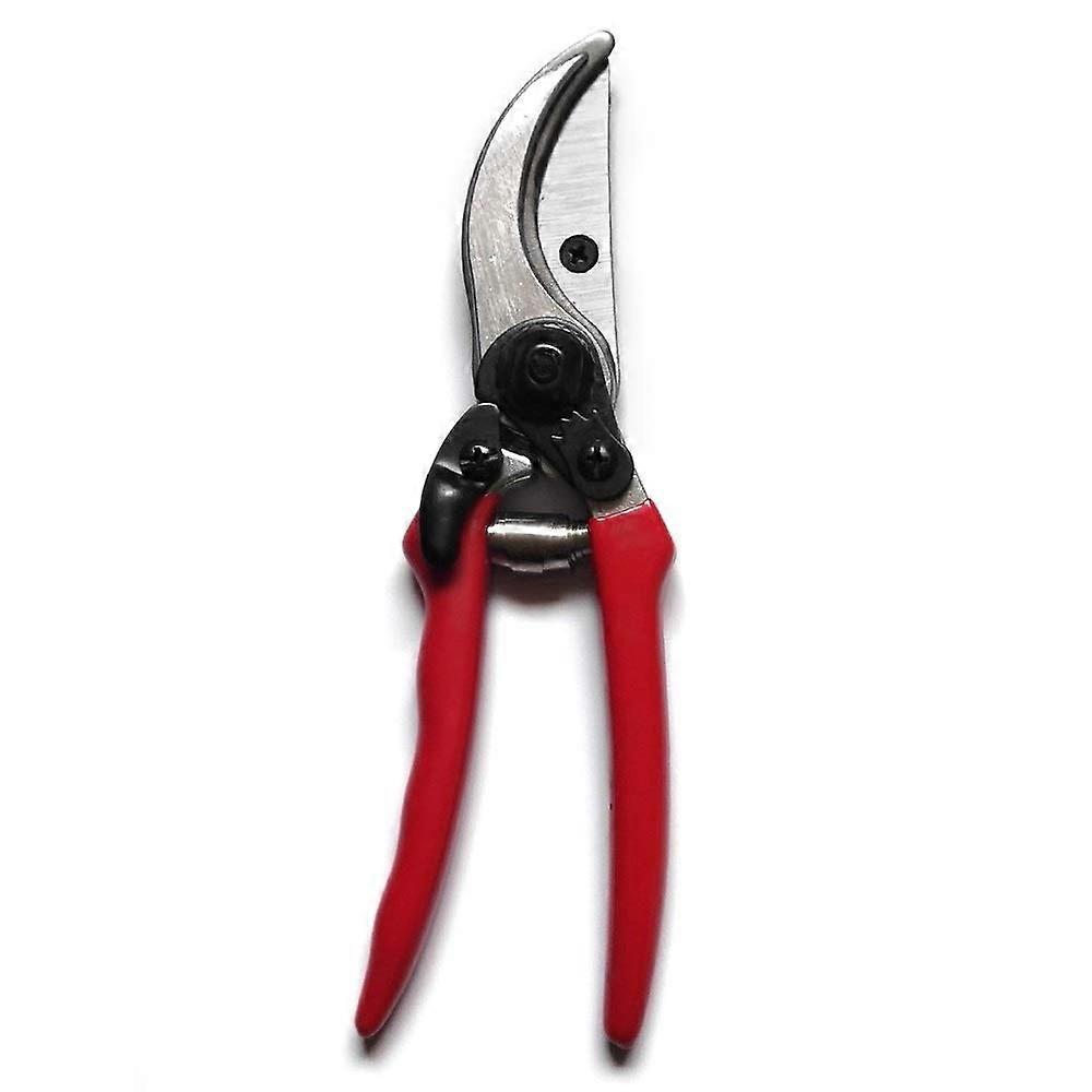 Pruning Shears for Fruit Trees with Precise Cutting and Ergonomic Grip, Durable Garden Scissors