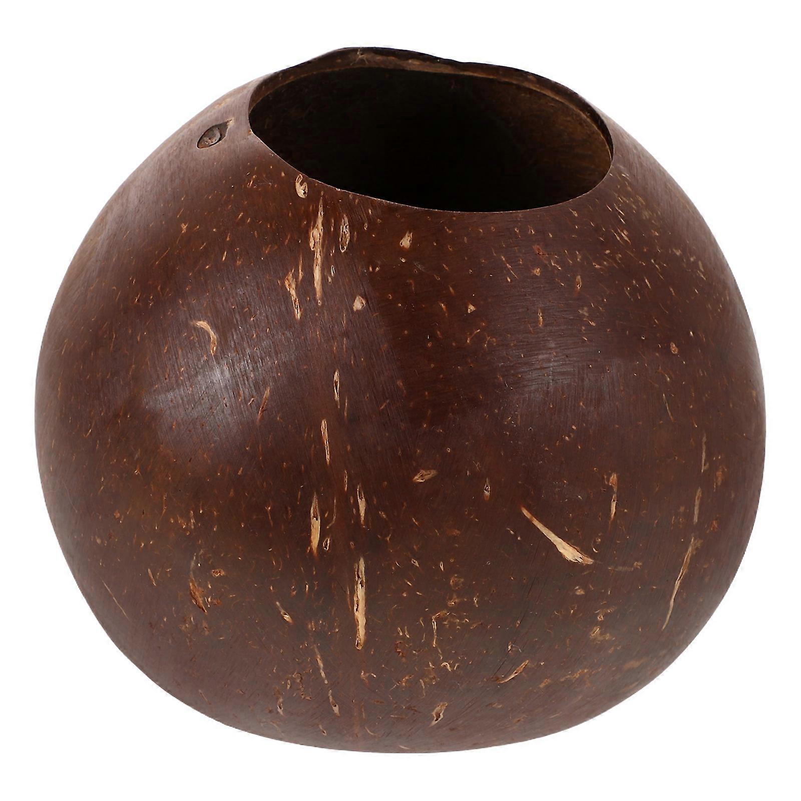 Coconut Shell Pot for Succulent Planting Coffee Decorative DIY Pot