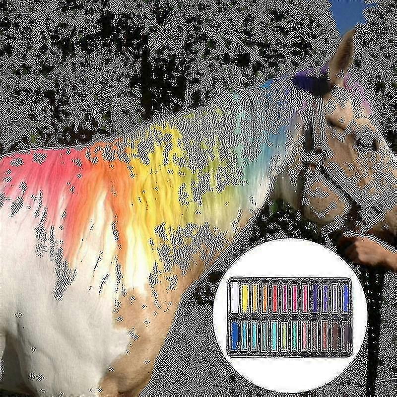 6/12/24/36 Horse Temporary Dye Colour Styling Kit