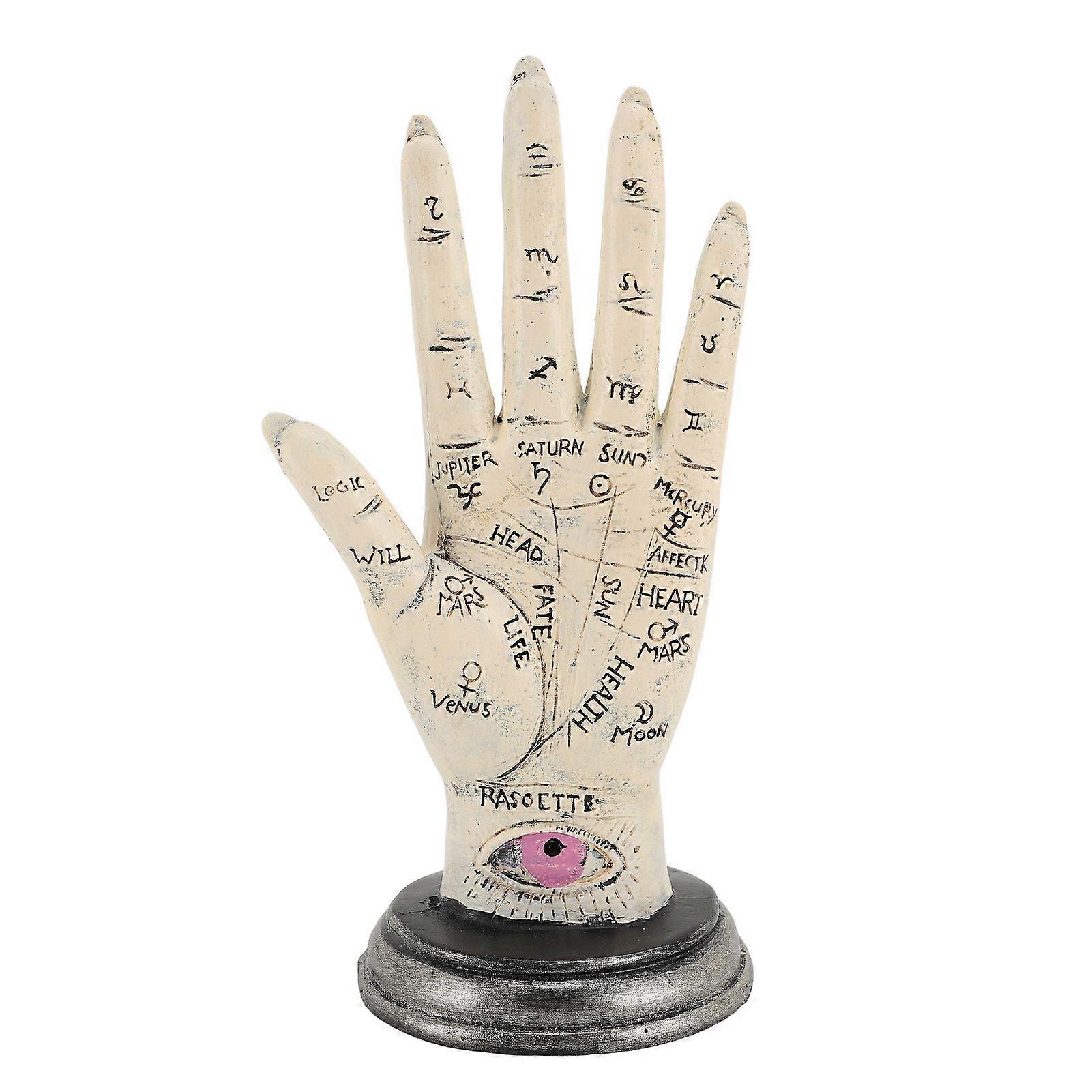 Palmistry Hand Model Palm Line and Symbol Telling Reading Statue Resin Hand Sculpture for Collection and Decoration