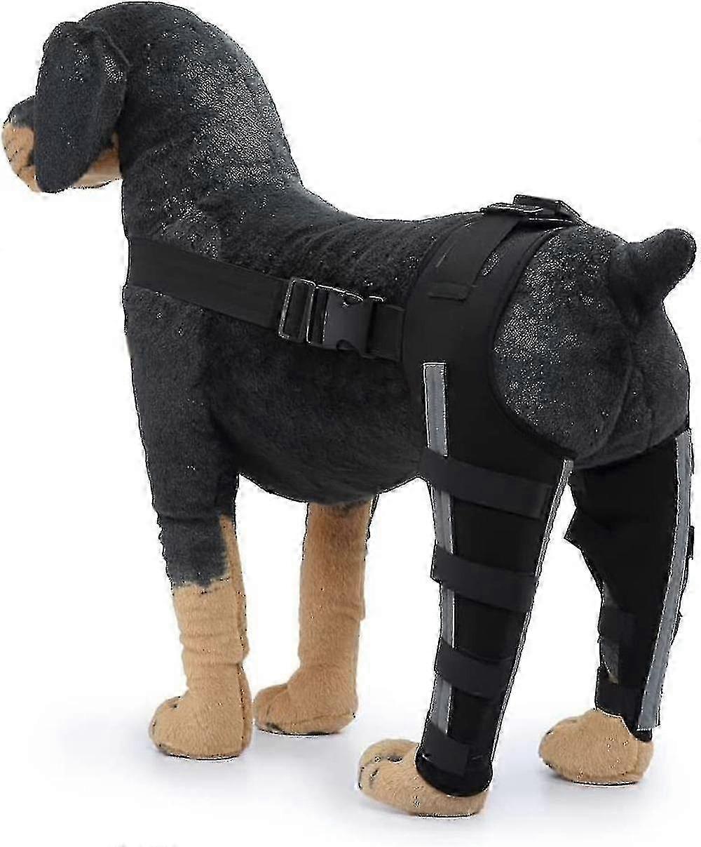 Koiran takajalkatuki nivelten tukemiseen ja vammojen ehkäisyyn