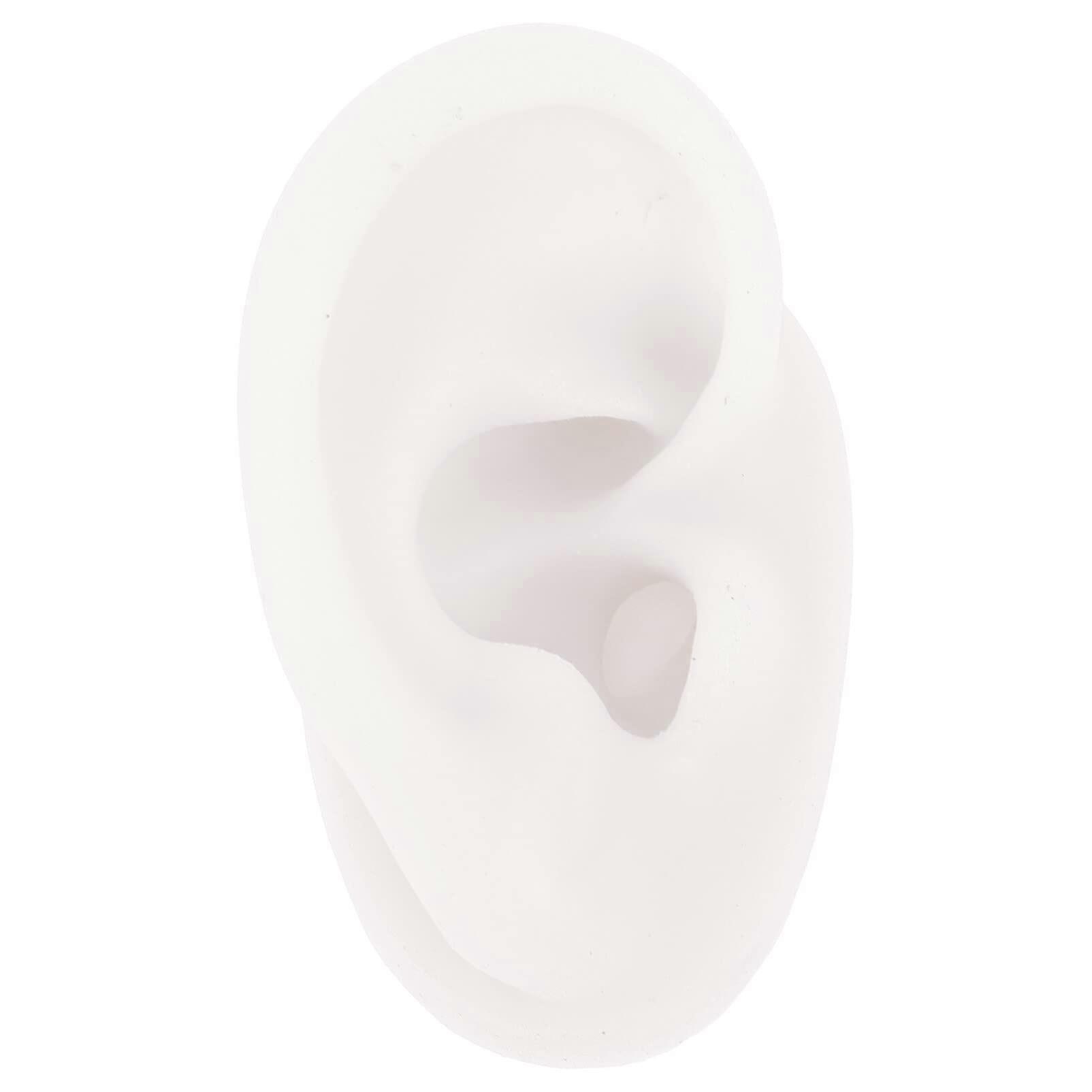 Silicone Ear Model with Realistic Texture for Piercing Practice and Jewelry Display, White Reusable