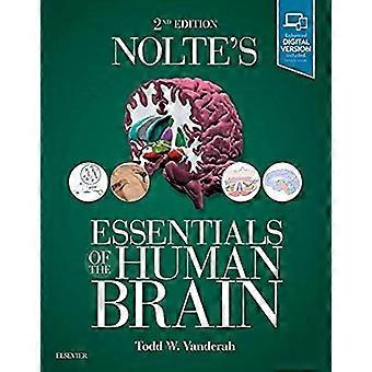 Nolte's Essentials of the Human Brain