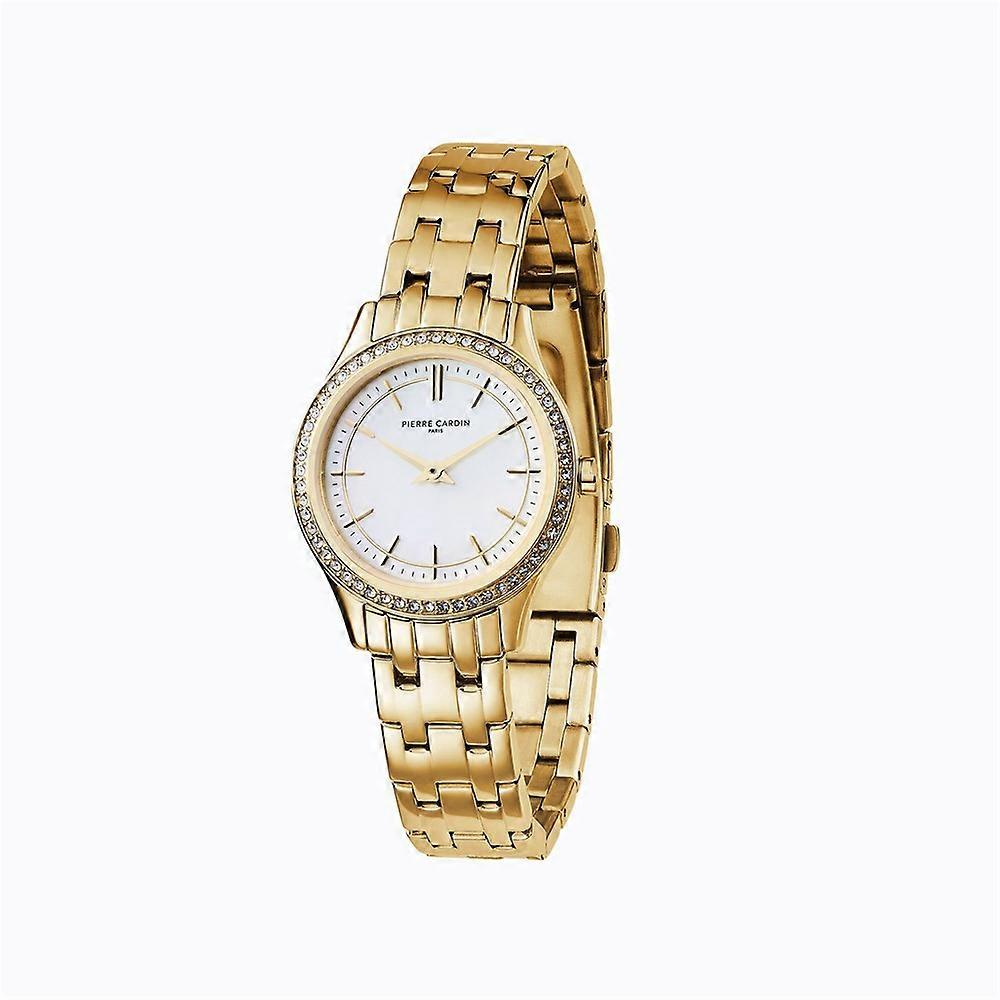 Watches Pierre Cardin cf0611seg