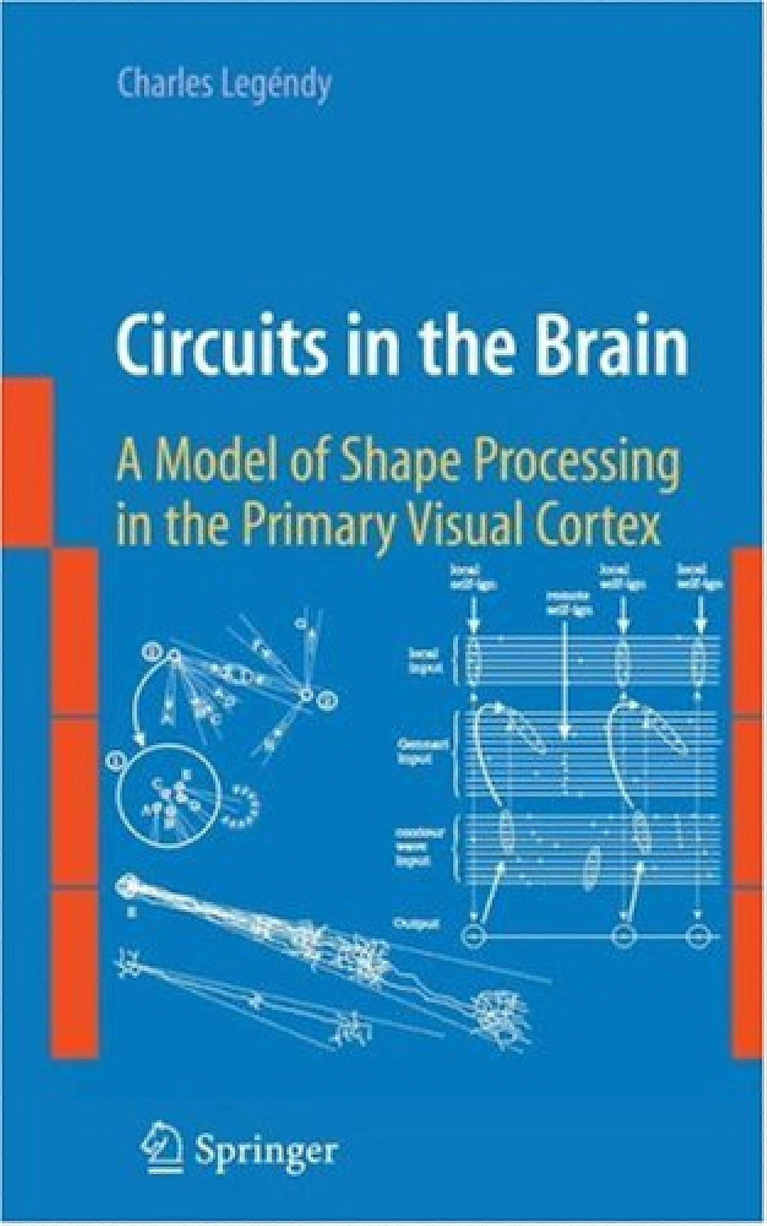 Circuits in the brain a model of shape processing in the primary visual cortex