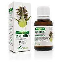 Thyme Essence 15 ml