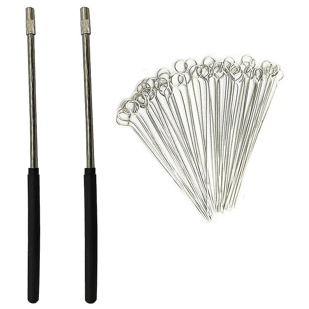 2pcs Reusable Inoculating Loop Hs With 50pcs 10ul Ni Tips Inoculat Loop For La