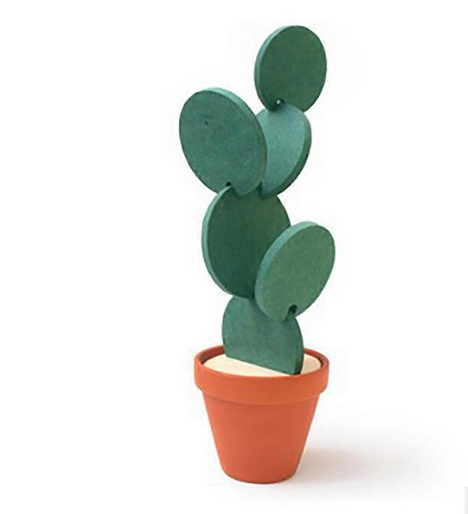 Coaster storage box cactus coasters