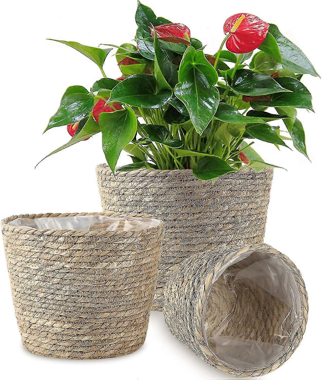 Plant Basket 3 Pack Seagrass Baskets Hand Woven Planters Basket With Waterproof Plastic Liner Plant Pots Containers Cover Storage Organizer Baskets Fo