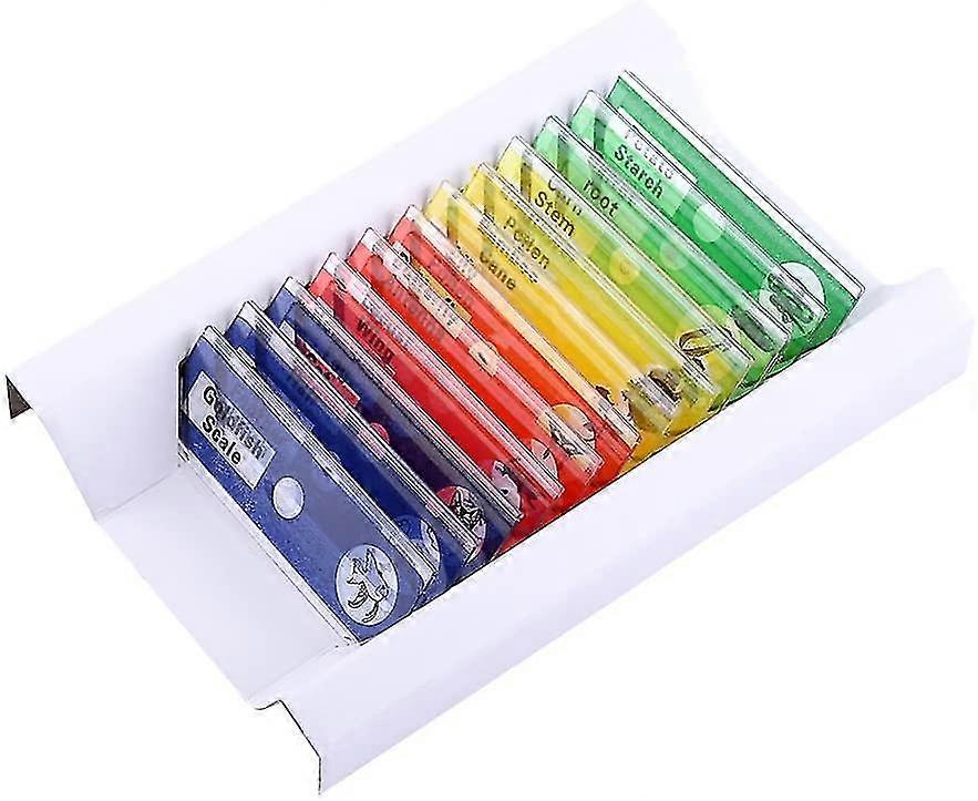 Magic Lantern Slides, Professional Type Colored Labels, Plastic Prepared Microscope Slides For School To Learn(red)