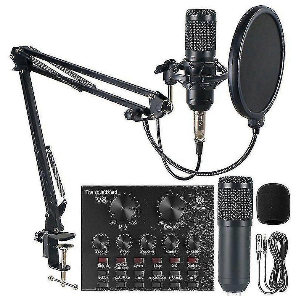 Professional Recording Studio Audio Interface Recording External Live Bm-800 Karaoke Microphone V8 Sound Card Condenser Microphone(EPA02)