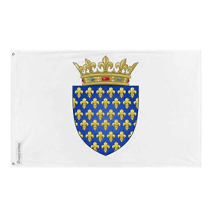 Flag of the Kings of France before 1376 – 160 x 240 cm – Polyester – Iron eyelets – Durable