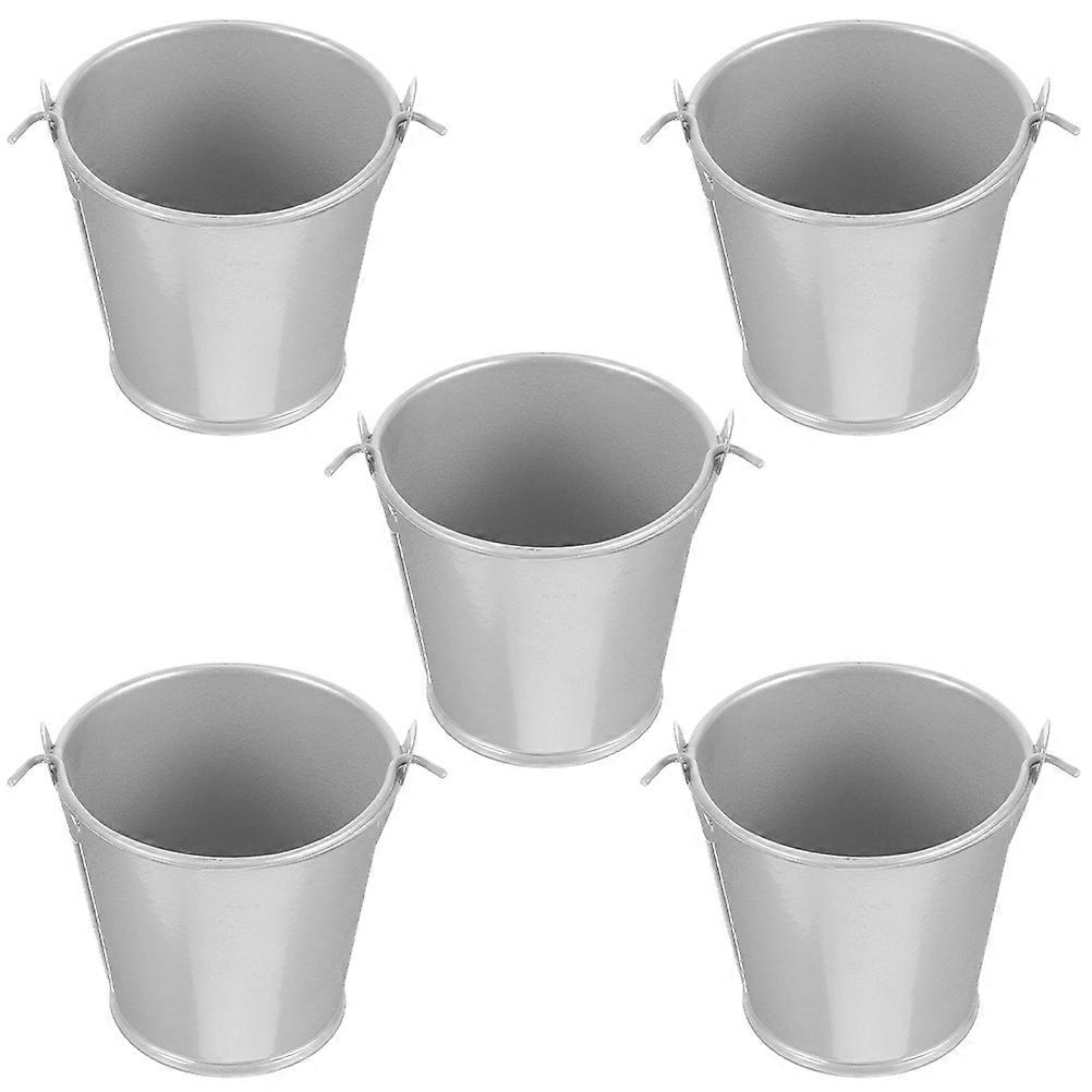 5pcs Small Metal Buckets with Handles Mini Tin Pails for Party Favors and Succulents