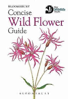 Concise Wild Flower Guide