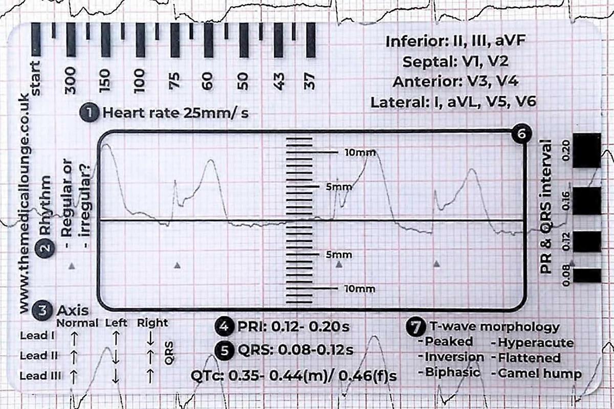 Portable ECG 7 Step Ruler Plastic Measuring Card Tool