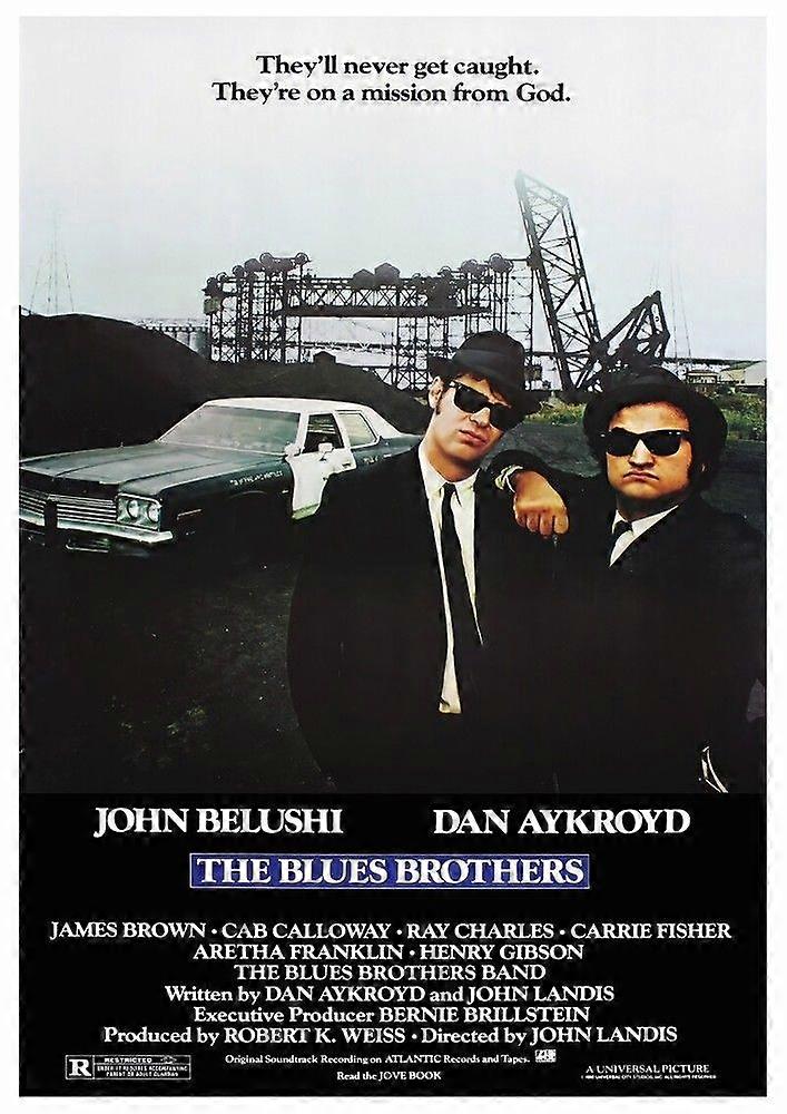 Puzzle du film The Blues Brothers (1980) pour adultes et enfants EB 5911