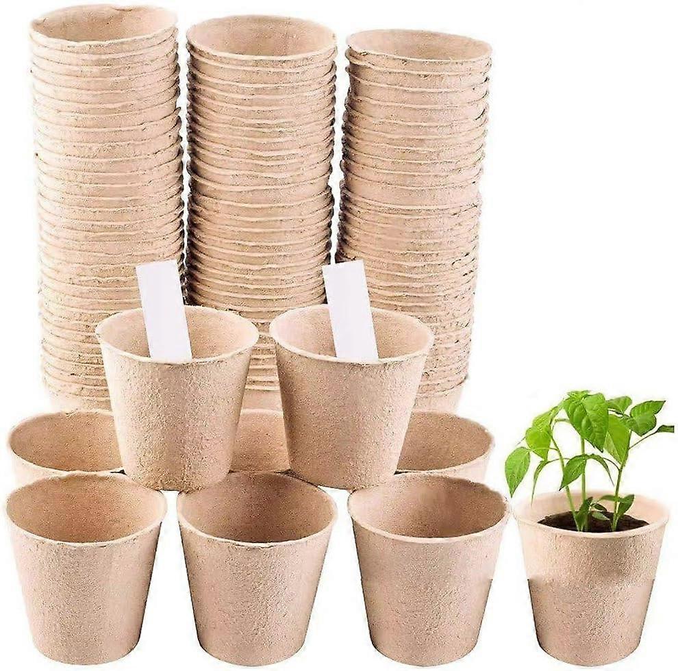 50-pack plant seedling tray set