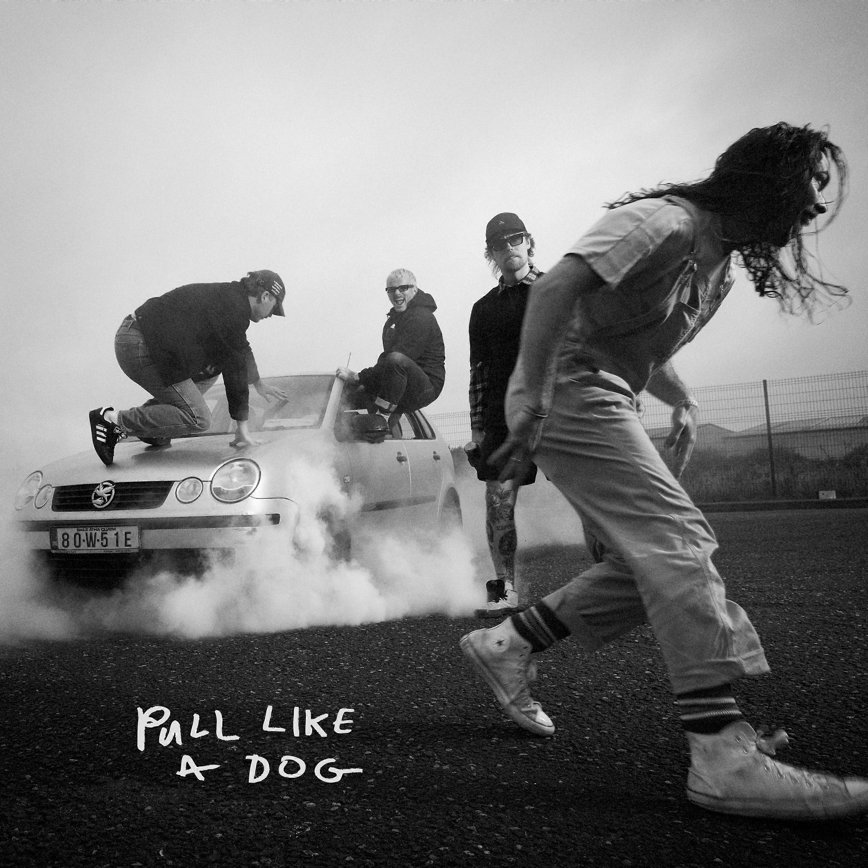 The Scratch - Pull Like a Dog [CD]